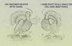 turkey talk