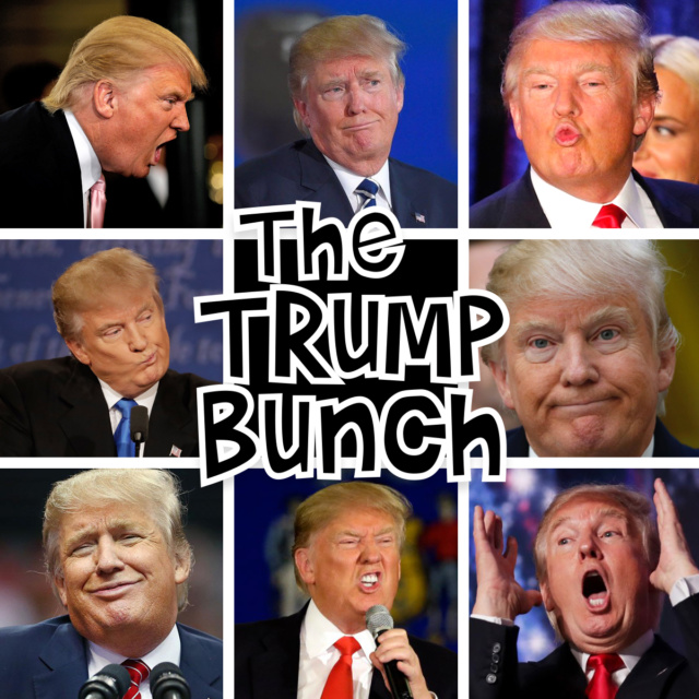 Trump bunch