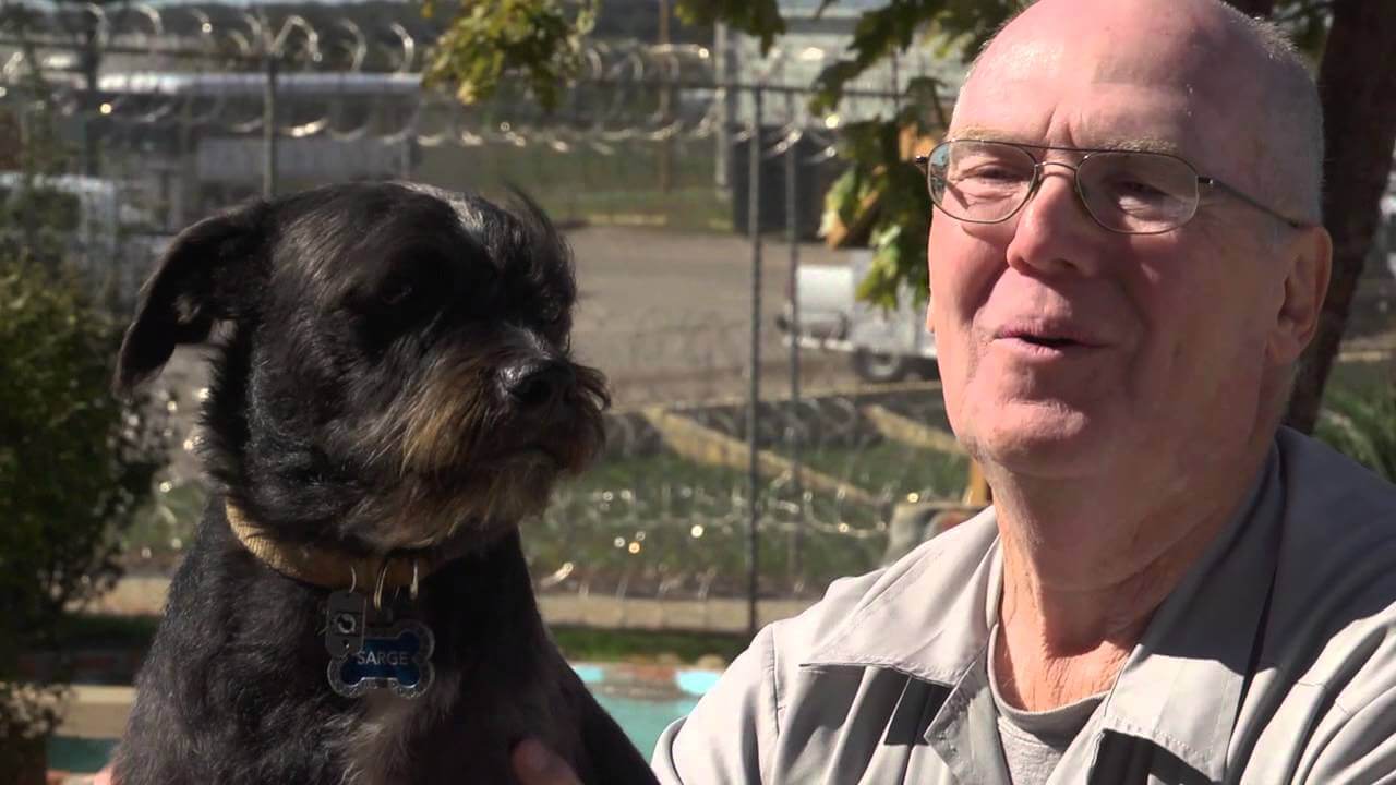 famous dog behavior trainers on tv