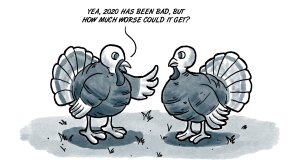 turkey trouble, Thanksgiving