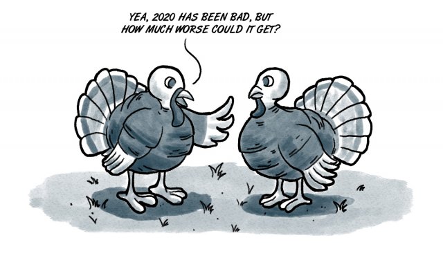 turkey trouble, Thanksgiving