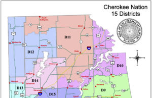 Cherokee Nation Tribal Council election