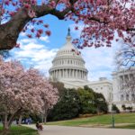 U.S.Capitol grounds