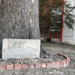 Seminole Nation whipping tree – Wewoka