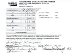 Cheyenne and Arapaho constitutional amendments