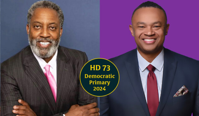 House District 73 Democratic primary