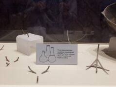 With 18th largest collection of Native American remains, OU museum hiring repatriation coordinator Native American remains