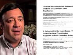 Rick Silanskas accused of AI filings in American Heartland Theme Park case Rick Silanskas